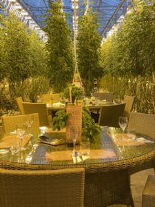 Iceland - Friedheimar